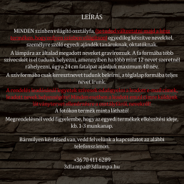 Szőlőfürtös osztálytábla személyre szabott fa talppal 7 színű 3D led lámpa