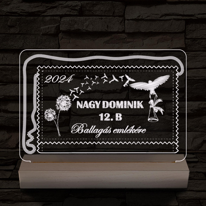 Ballagás emlékére személyre szabott 20 cm fa talppal 7 színű 3D led lámpa