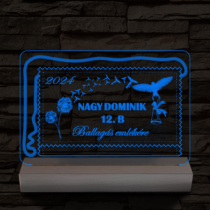 Ballagás emlékére személyre szabott 20 cm fa talppal 7 színű 3D led lámpa