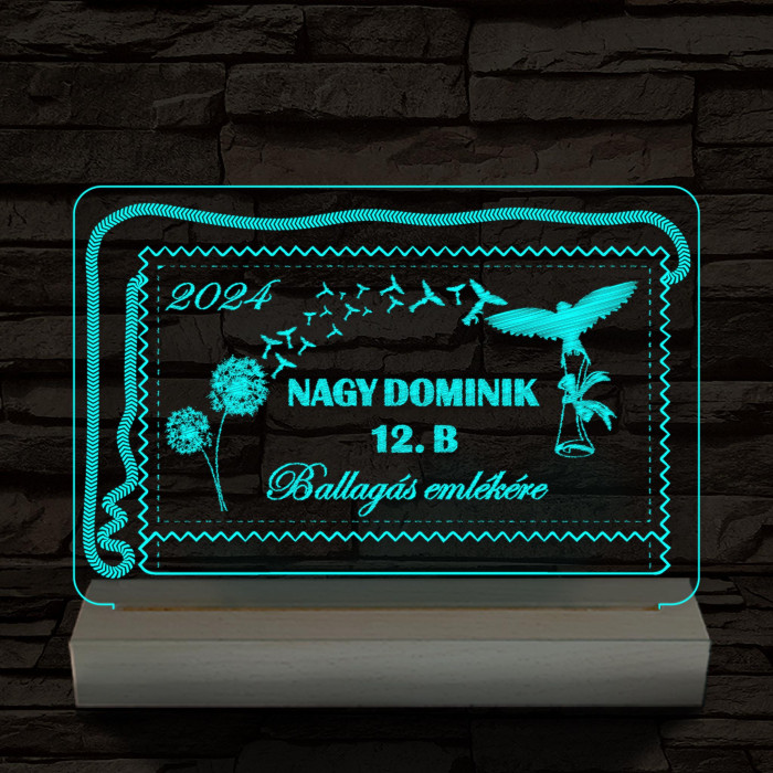Ballagás emlékére személyre szabott 20 cm fa talppal 7 színű 3D led lámpa