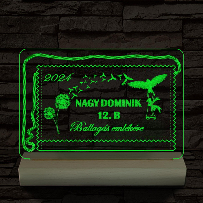 Ballagás emlékére személyre szabott 20 cm fa talppal 7 színű 3D led lámpa