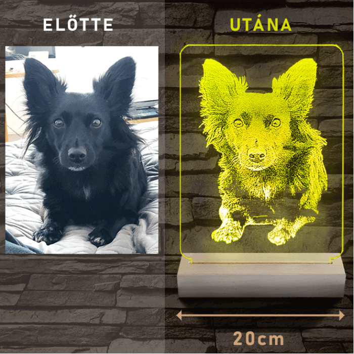 Nagy szív rózsával és kis szívekkel, egyedi fotógravírozás fatalppal 7 színű 3D led lámpa