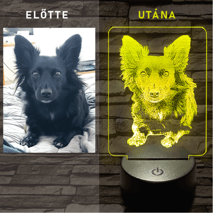 Egyedi fotógravírozás 7 színű 3D led lámpa