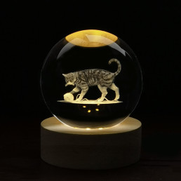 Kristálygömb Macska 7 színű 3D LED lámpa