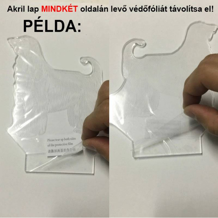 Sálas bagoly  7 színű 3D led lámpa