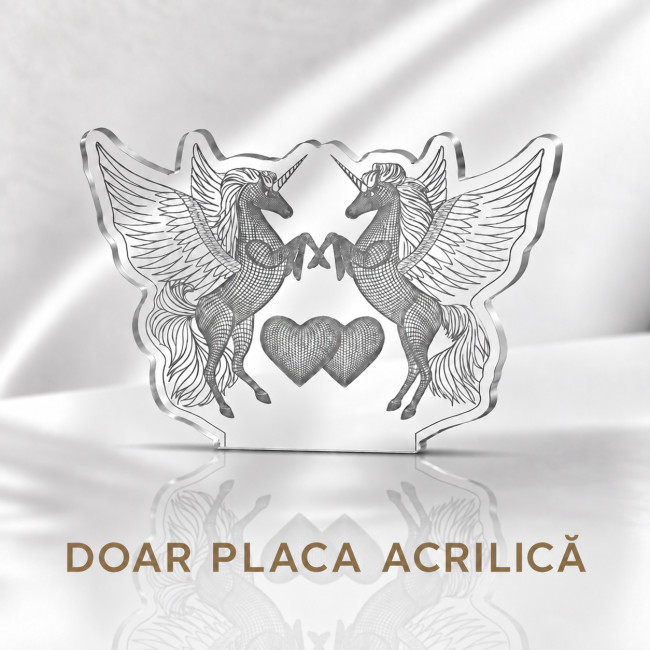 Doresc doar placa acrilică, fără bază (pentru baza din plastic)