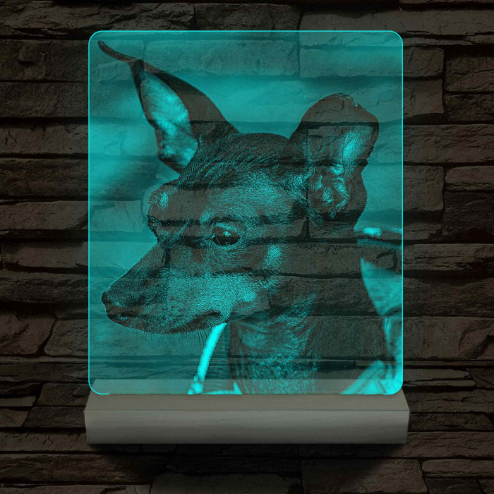 Egyedi fotógravírozás fatalppal 7 színű 3D led lámpa