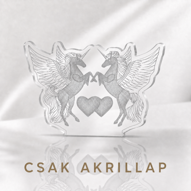 Csak az akril lapot kérem talp nélkül (műanyaghoz)