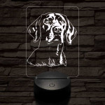 Vizsla 7 színű 3D led lámpa