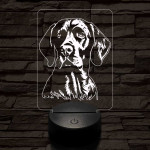 Pointer-fej 7 színű 3D led lámpa