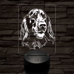 Ír szetter-fej 7 színű 3D led lámpa