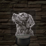 Sima szőrű retriever portré 7 színű valósághű 3D led lámpa