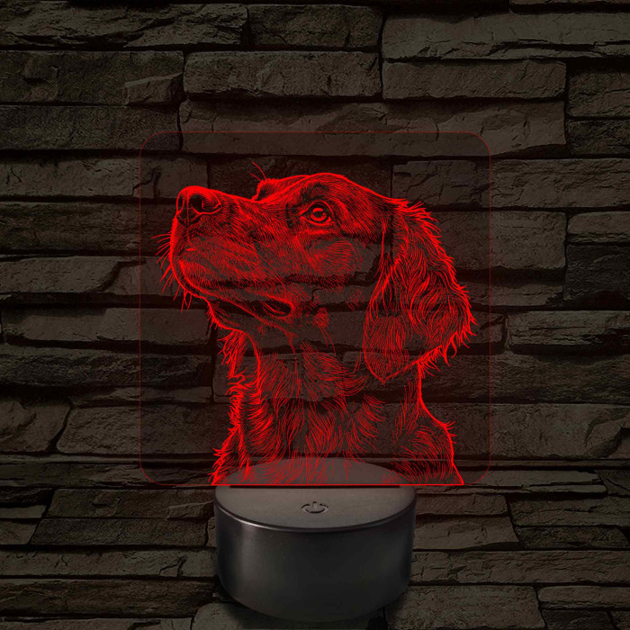 Sima szőrű retriever portré 7 színű valósághű 3D led lámpa