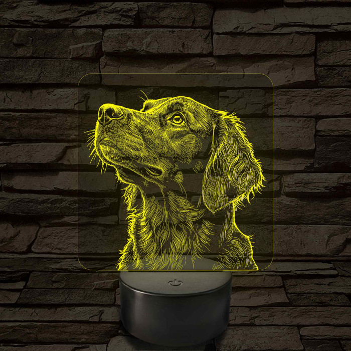 Sima szőrű retriever portré 7 színű valósághű 3D led lámpa