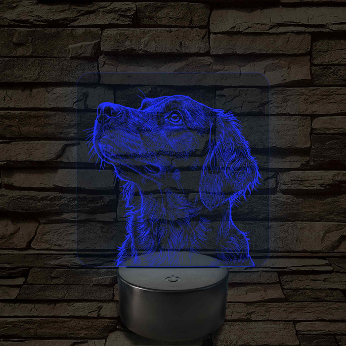 Sima szőrű retriever portré 7 színű valósághű 3D led lámpa
