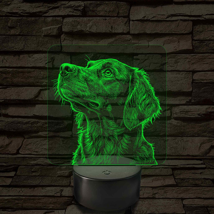 Sima szőrű retriever portré 7 színű valósághű 3D led lámpa