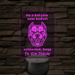 Ha a kutyám nem kedvel – 7 színű, színváltós LED lámpa
