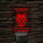 Ha a kutyám nem kedvel – 7 színű, színváltós LED lámpa
