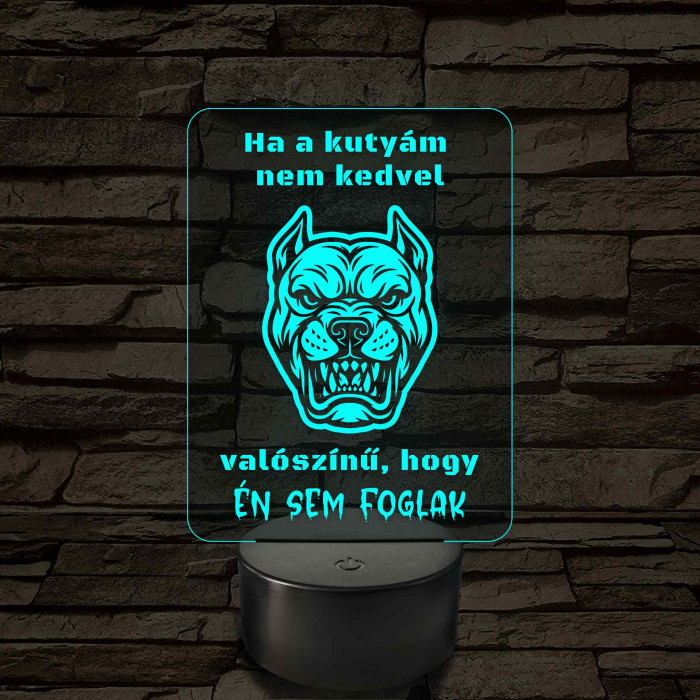 Ha a kutyám nem kedvel – 7 színű, színváltós LED lámpa