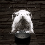 Tengerimalacka 7 színű valósághű 3D led lámpa