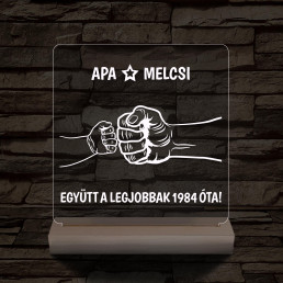 Gyerekek plusz apa együtt a legjobbak! személyre szabott fa talppal 7 színű 3D led lámpa