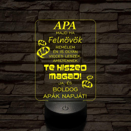 Apák napi humoros feliratú vicces 7 színű 3D led lámpa