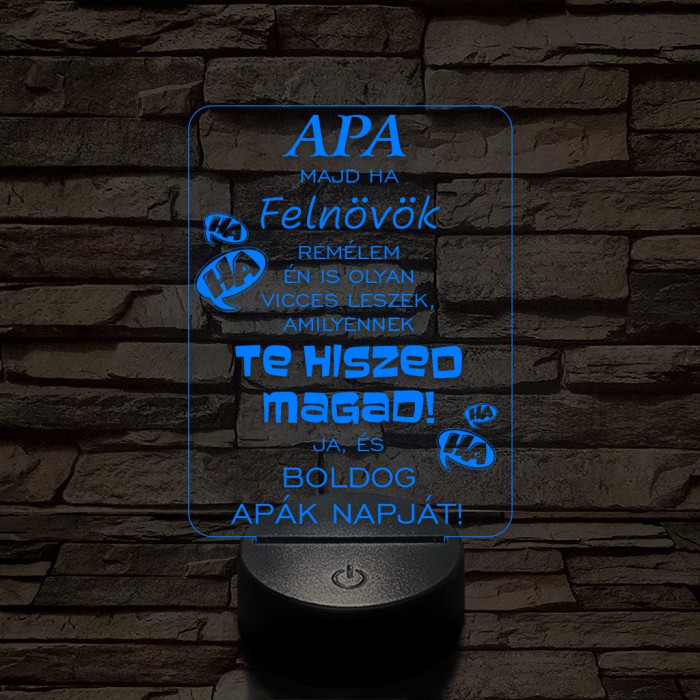 Apák napi humoros feliratú vicces 7 színű 3D led lámpa