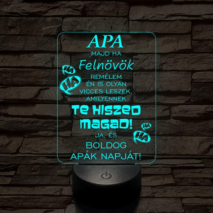 Apák napi humoros feliratú vicces 7 színű 3D led lámpa