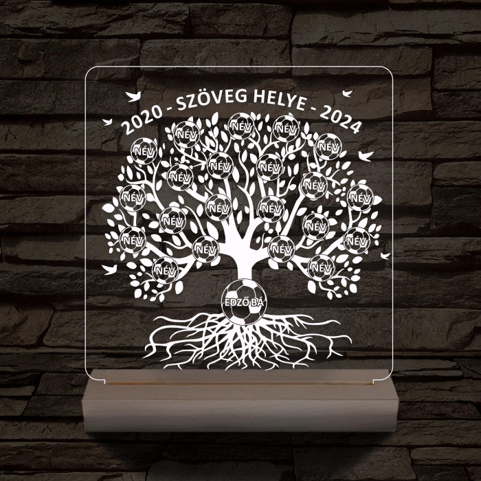 Focis osztályfa személyre szabott fatalppal 7 színű 3D led lámpa