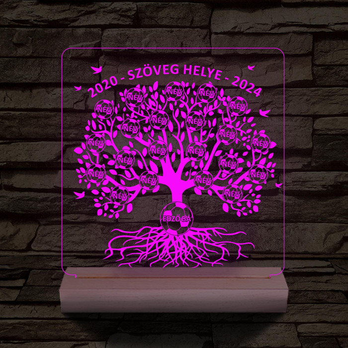 Focis osztályfa személyre szabott fatalppal 7 színű 3D led lámpa