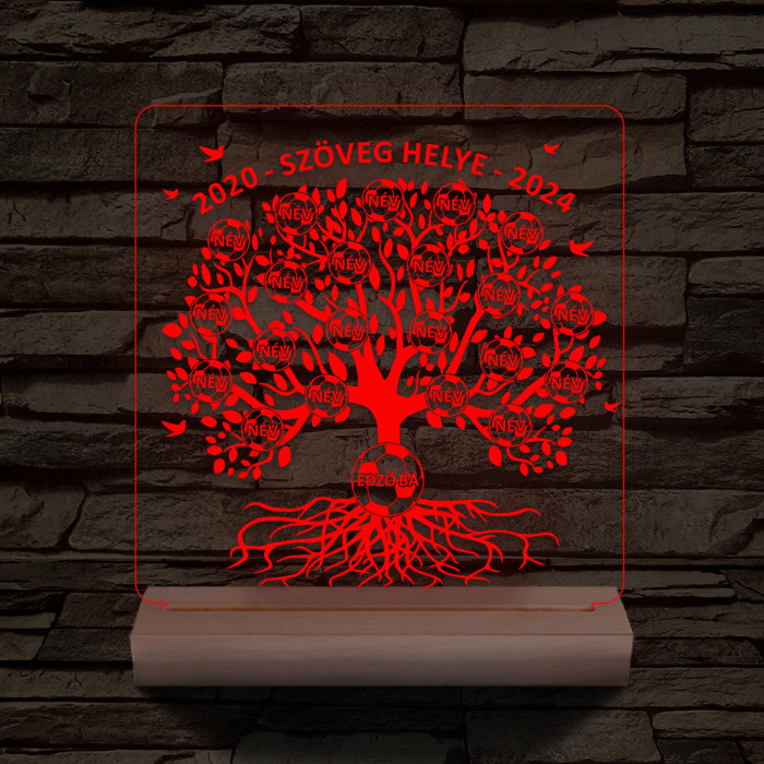 Focis osztályfa személyre szabott fatalppal 7 színű 3D led lámpa