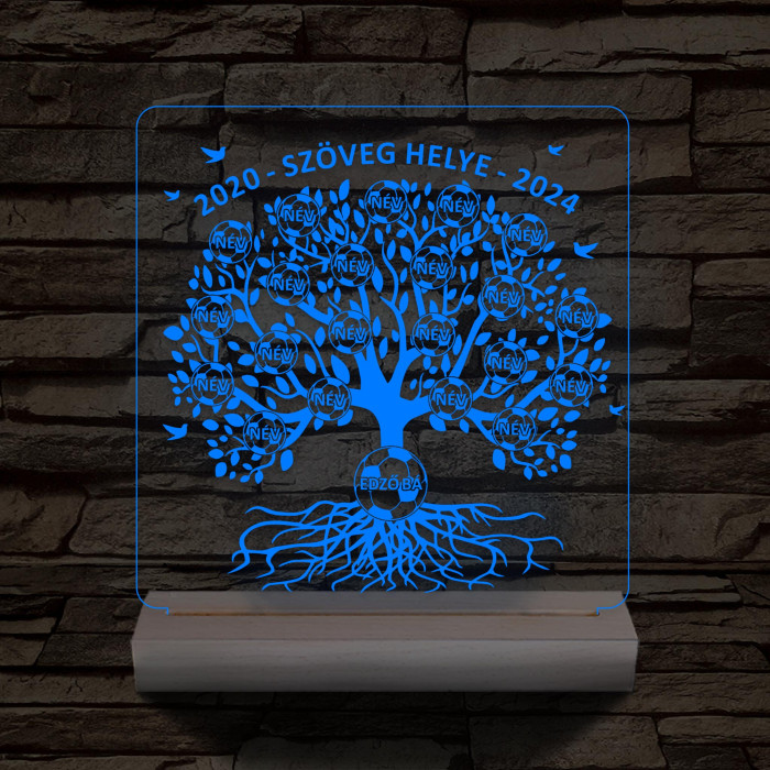 Focis osztályfa személyre szabott fatalppal 7 színű 3D led lámpa