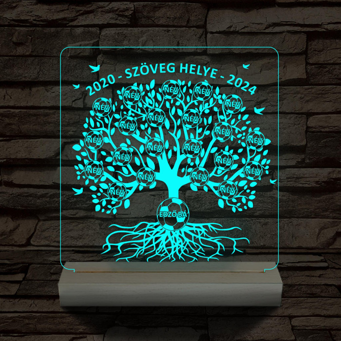 Focis osztályfa személyre szabott fatalppal 7 színű 3D led lámpa
