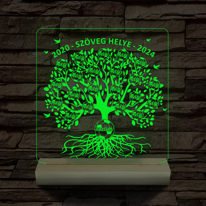Focis osztályfa személyre szabott fatalppal 7 színű 3D led lámpa