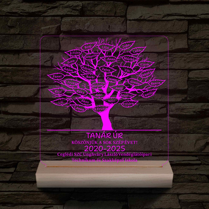 Leveles osztályfa fatalppal 7 színű 3D led lámpa
