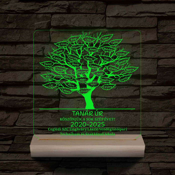 Leveles osztályfa fatalppal 7 színű 3D led lámpa