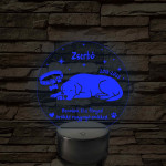 Hűséges Barát – Személyre szabható kutya emlék 7 színű, színváltós 3D LED lámpa
