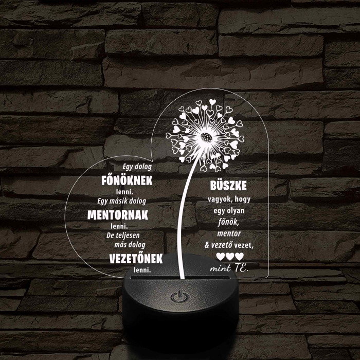 Főnök – Mentor – Vezető – 7 színű, színváltós 3D LED lámpa (egyes számban)