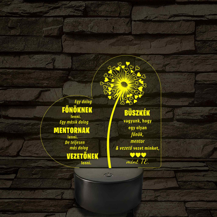 Főnök – Mentor – Vezető – 7 színű, színváltós 3D LED lámpa (többes számú megfogalmazással!)