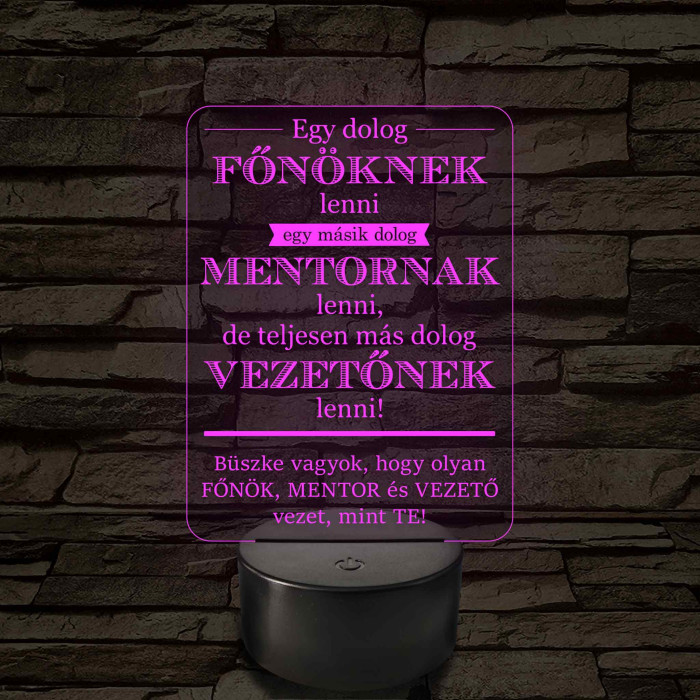Főnök – Mentor – Vezető – 7 színű, színváltós 3D LED lámpa (egyes számú megfogalmazással!)