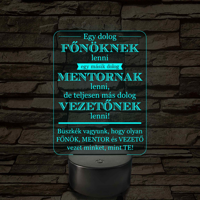 Főnök – Mentor – Vezető – 7 színű, színváltós 3D LED lámpa (többes számban)