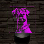 Mr Schooby Doo 7 színű valósághű 3D led lámpa