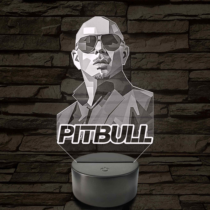 Pitbull portrés hangulatlámpa – 7 színű, színváltós LED lámpa