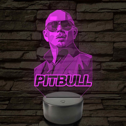 Pitbull portrés hangulatlámpa – 7 színű, színváltós LED lámpa