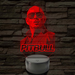 Pitbull portrés hangulatlámpa – 7 színű, színváltós LED lámpa