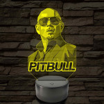 Pitbull portrés hangulatlámpa – 7 színű, színváltós LED lámpa